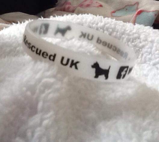 westiemum tweet media