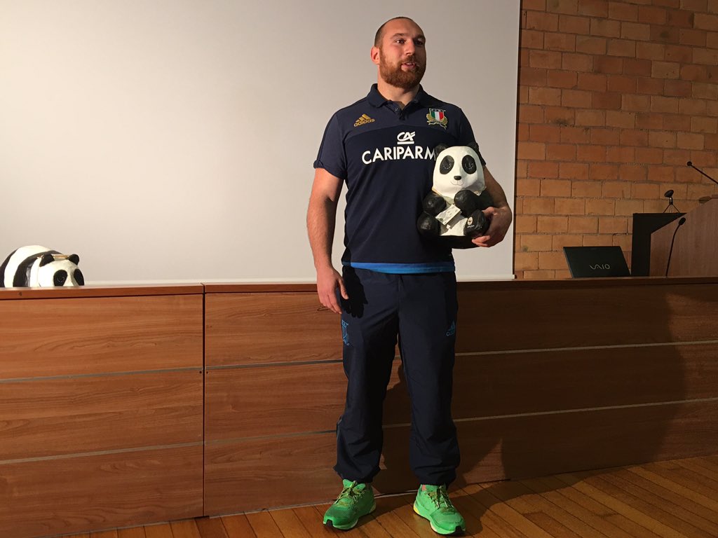 acimbrico's tweet photo. Trova il panda! https://t.co/kdQGDJAJ2E