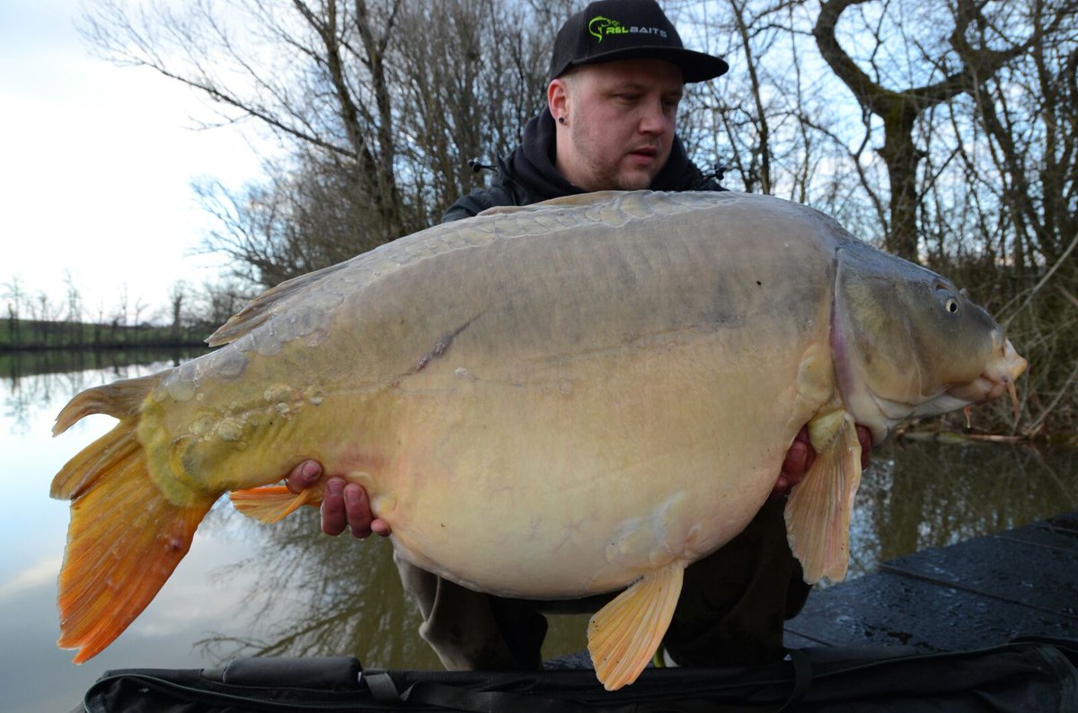 BaitsLive's tweet photo. YES the next one :). 21 kg for Mark #Boilies #CrazyShit #Carp https://t.co/dkScXt9ipy
