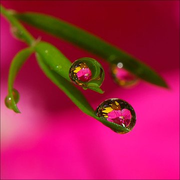 @NEXT590 <a href="/elsufuen/">Susana Fuentes</a> <a href="/AslanovElena/">Elena Aslanov(Rahel)</a> <a href="/5Dream555/">Dream</a> <a href="/VICTORJSOSAV/">Víctor Sosa</a> <a href="/armeniangirl4/">Nancy Movsisyan</a> @ARES3O3 <a href="/GERA_8O/">Gerardo Martin Terue</a> <a href="/nabilhasan48/">حسن العراقي</a>