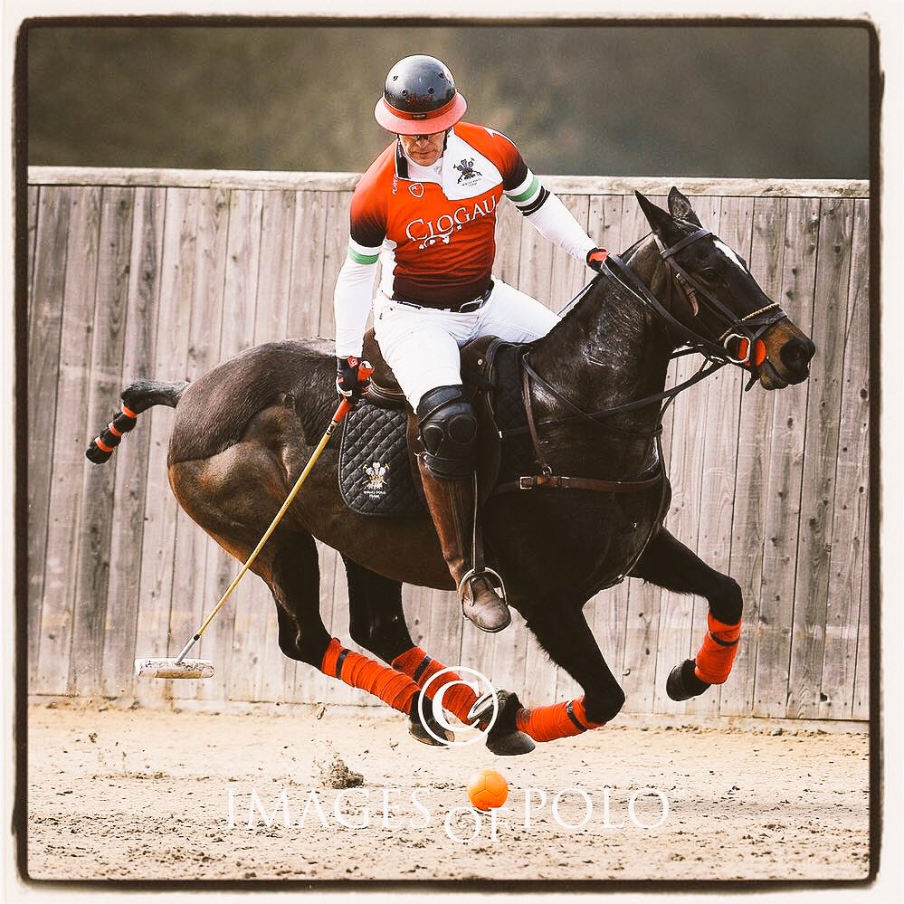 Ricalino92's tweet photo. Love this #photo #tonyramirez @imagesofpolo of my best horse #quamarda #legend at yesterday's #internationalpolo https://t.co/cEhkM2AGpZ