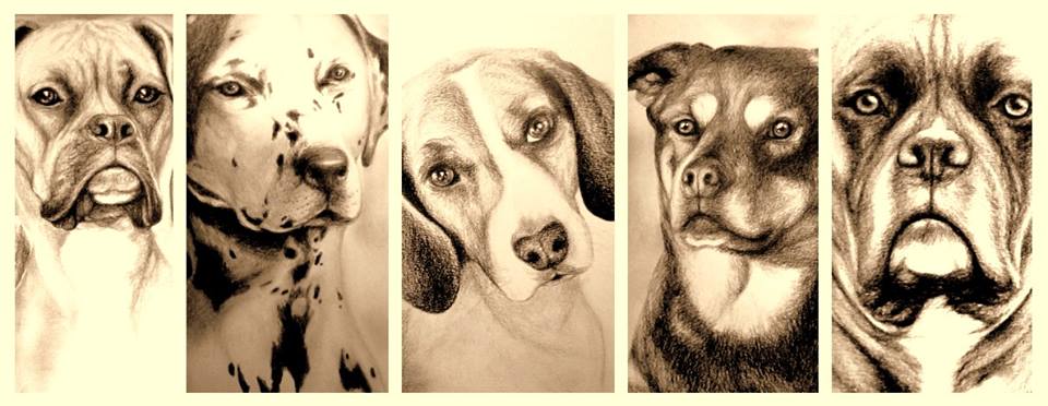 Mathilde Cambon tweet media