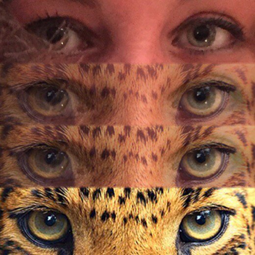 Blend your eyes with Animal. goo.gl/cdbapt goo.gl/cdbapt