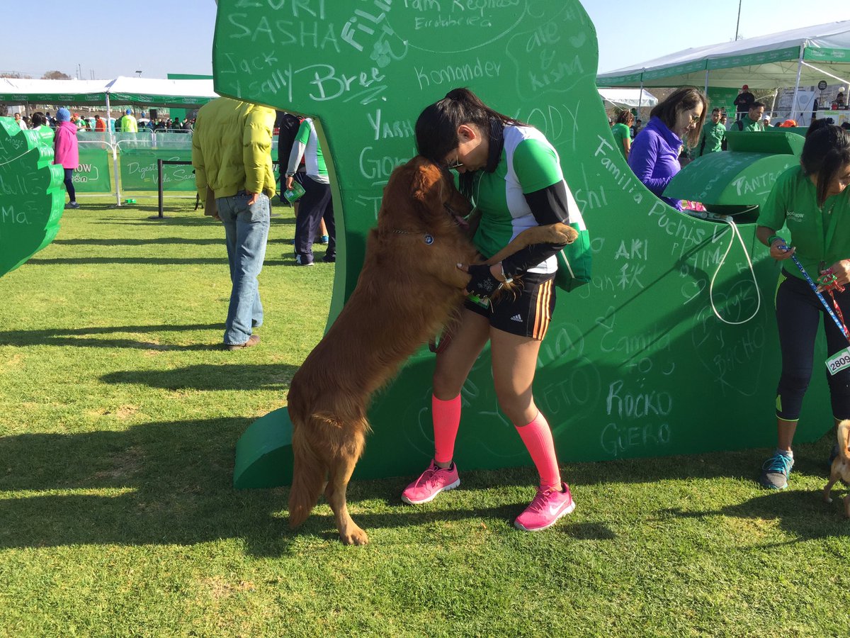 SANdisseny's tweet photo. #Mañana de 5K con #Filiful y @dogchow #queretaro #mexico #contodo #love #meencanta #5kNOW https://t.co/QQsjZAYLRG