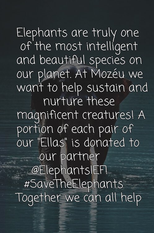 MozeuSocks's tweet photo. Help us #SaveTheElephants! 🐘 Use code LAUNCH for 20% off your entire order, check our Ellas: https://t.co/DnhqQpUbqI https://t.co/JViN0Cscq3