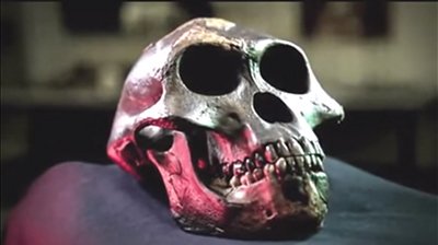 GENbio's tweet image. #GENvideo: Teeth reveal the secrets of human evolution in latest research: ow.ly/Z2HP9