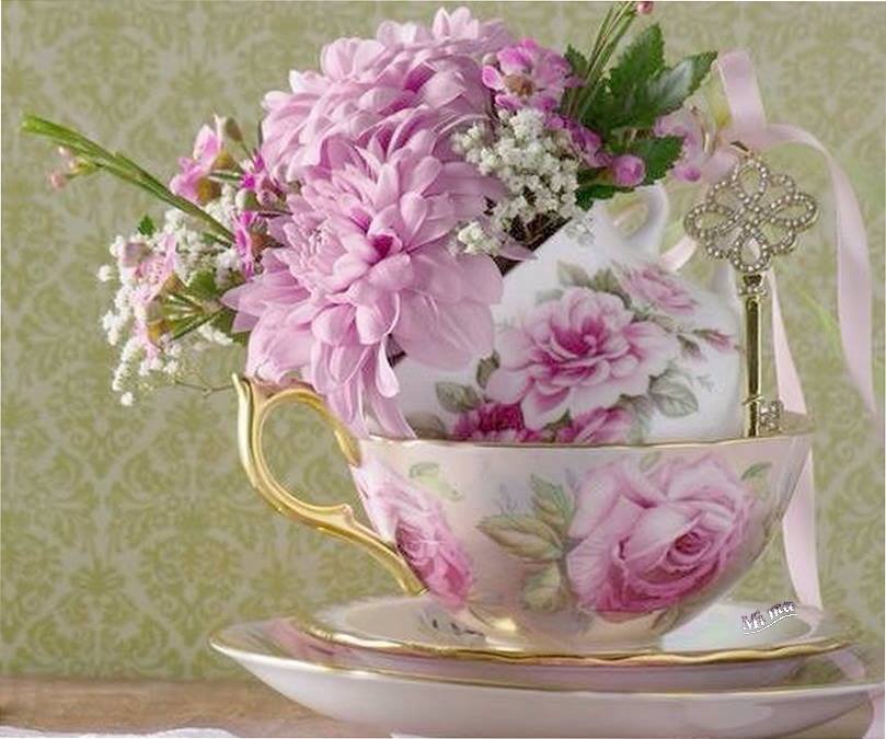 TY <a href="/WaringJudy/">Judy Waring</a> <a href="/willybronca777/">Roberto</a> <a href="/JDANILAO/">I FEEL COMPASSION</a> <a href="/Aa653Ahmed/">Ahmed Ahmed</a> <a href="/23ljilja/">Ljiljana M.🌷</a> <a href="/regialeman51/">Reginalaleman@1246@g</a> @Ahmetemreee19