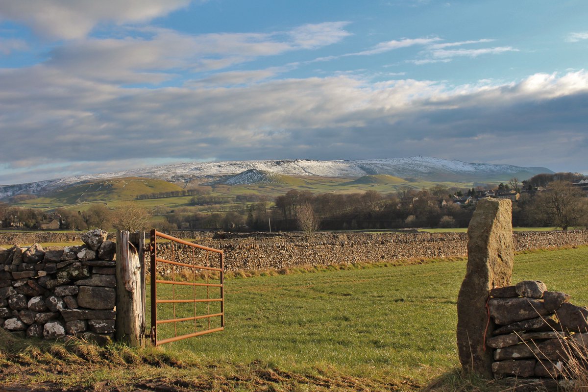 Nicky Law tweet media