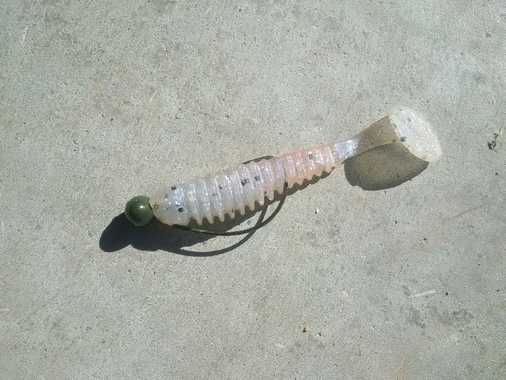 CanuckBassin's tweet image. Can't wait to start chuckin some @Anglers_Choice for some largies! (ya I fish largies too... 😝)