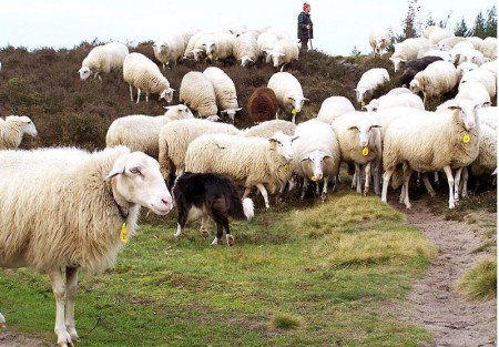 SpirReflections's tweet image. When Pain Does Good To Someone - spiritualreflections.net/when-pain-does…