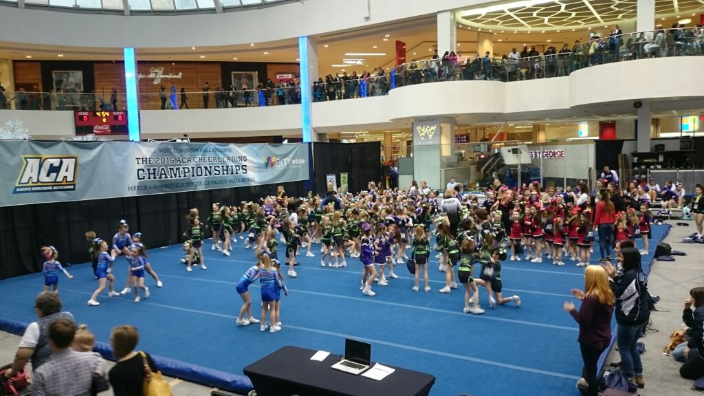 Alberta Cheerleading tweet media