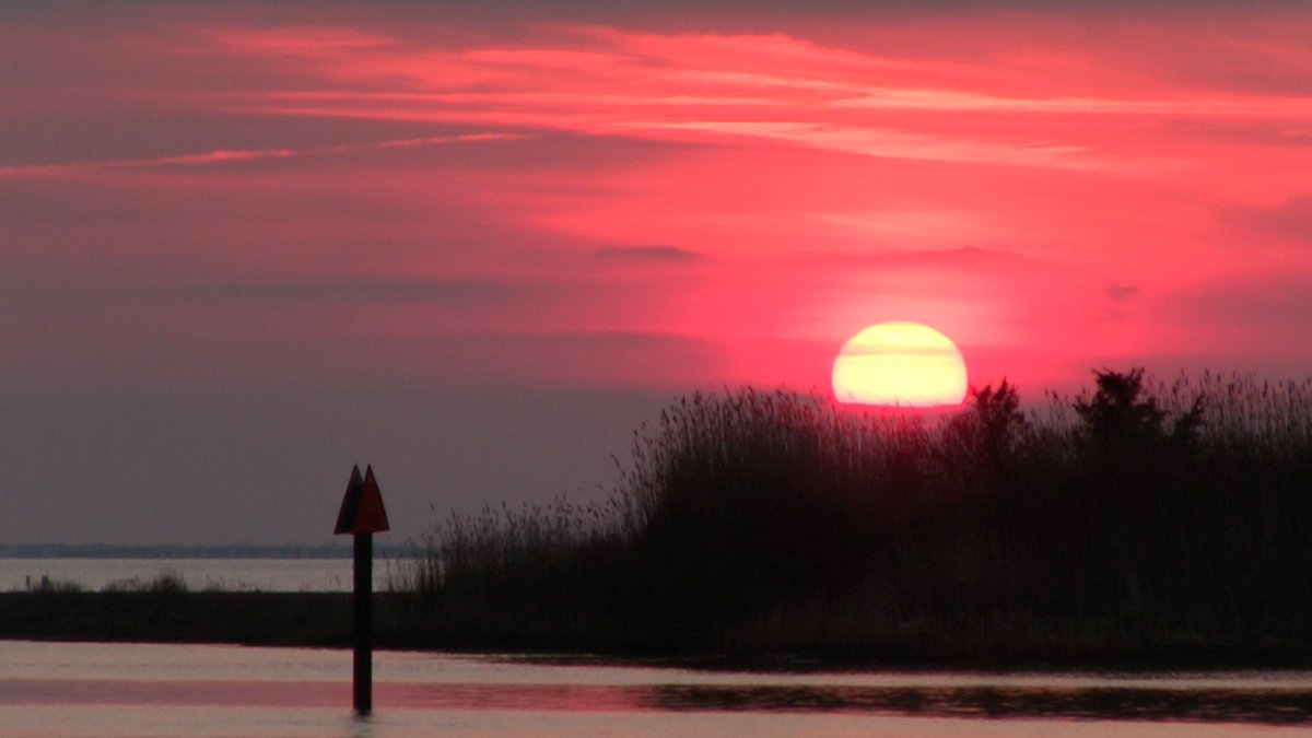 jack bushko tweet media