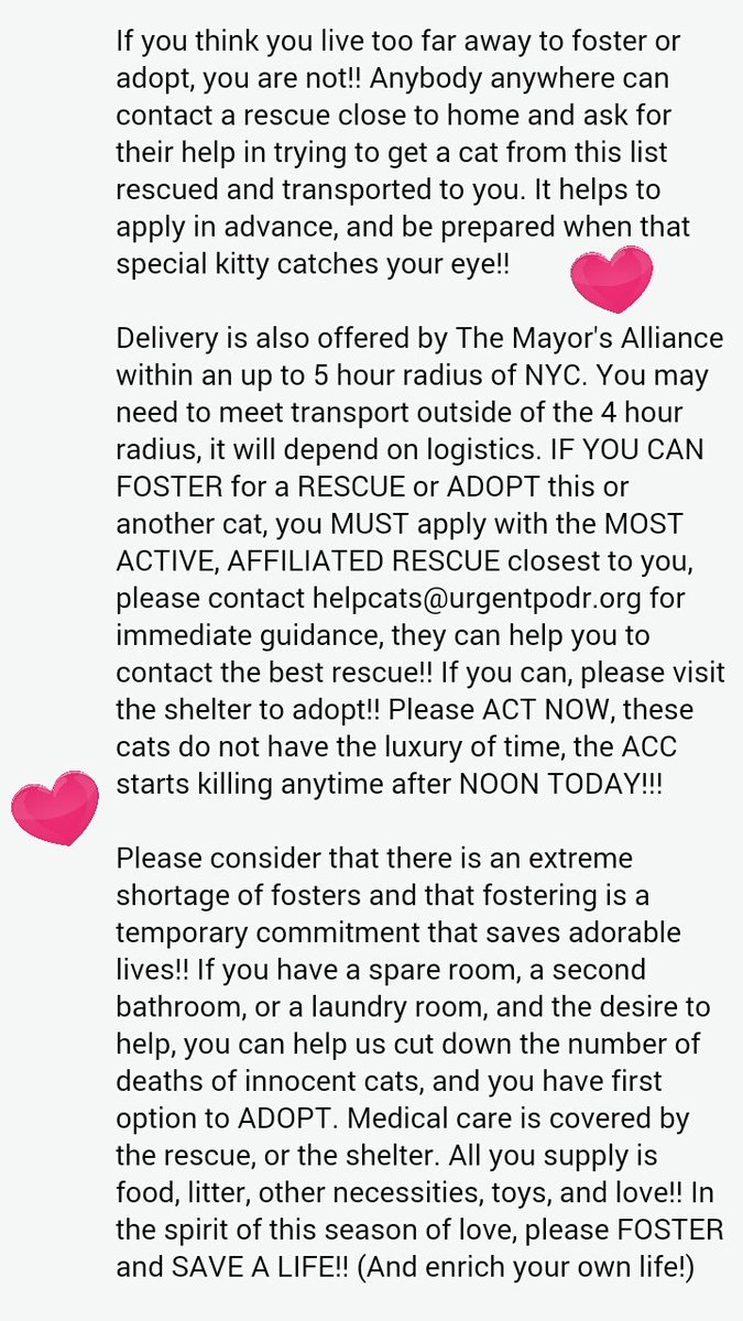 malicvet31's tweet photo. #Free Transport Available for #Furloves on #DeathRow
@URGENTPODR
@UrgentPart2
ADOPT/FOSTER/PLEDGE https://t.co/hbXz0m6par