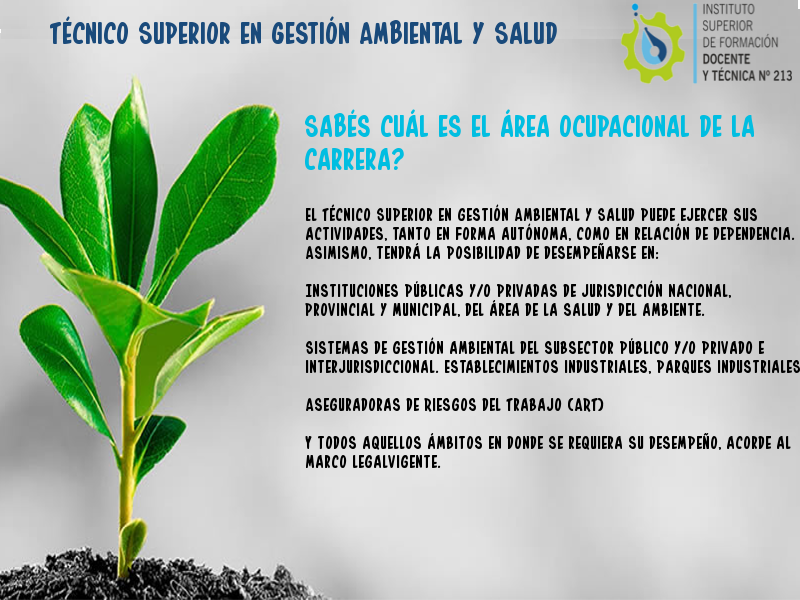 instituto213's tweet photo. Sabés cuál es el área ocupacional de la carrera de gestión ambiental? https://t.co/QMh6bHtPUi