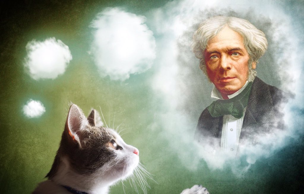 FaradayEveryDay's tweet photo. If your cat dreams of me being president.Why not you?! #Faraday4President https://t.co/3Jr3gePdTD