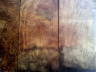 Matashiva tweet picture