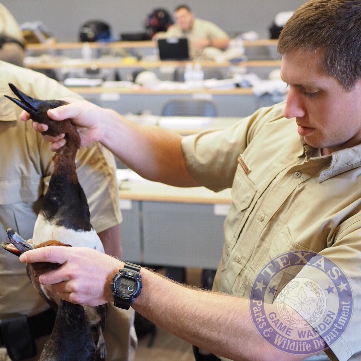 TexasGameWarden tweet picture