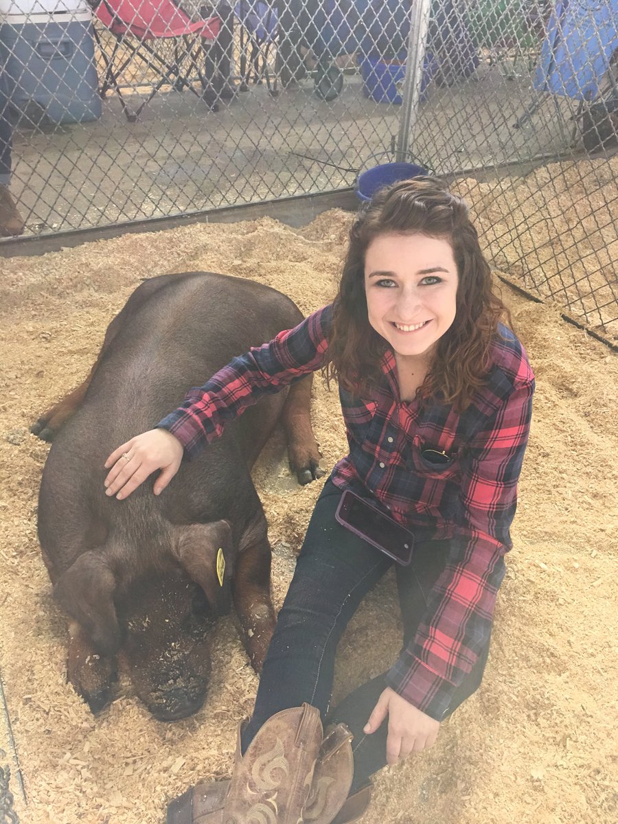 Mindi_Bracy's tweet photo. Mitzi in her natural habitat 🐷 #durocs @mkbracy https://t.co/w7rWiDxCZz
