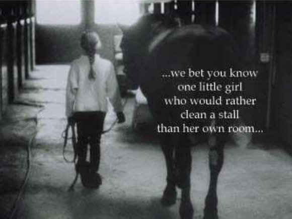 We all know someone like this🐎 #sotrue #horses #equestrian #Equinehour #girls #rathercleanstallsthanownroom