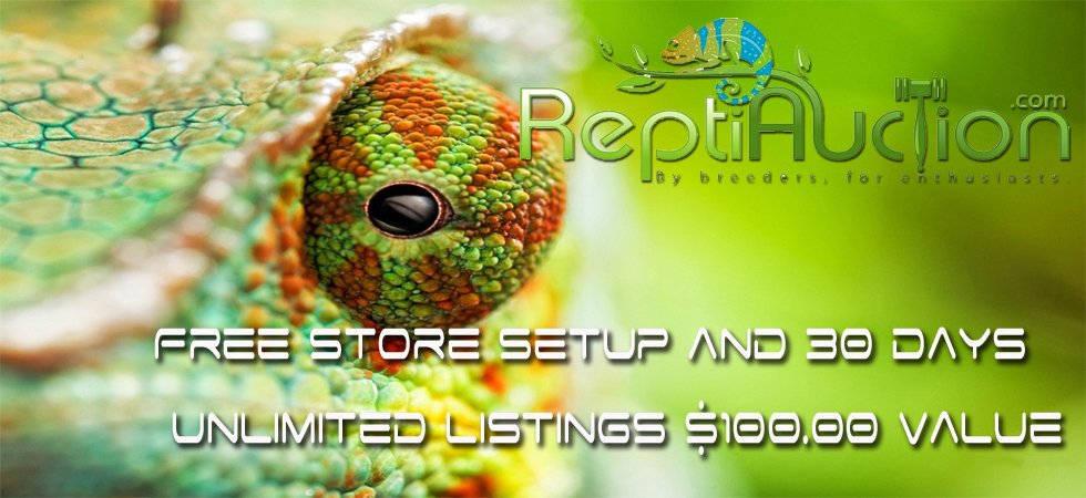 Reptiauction.com tweet media