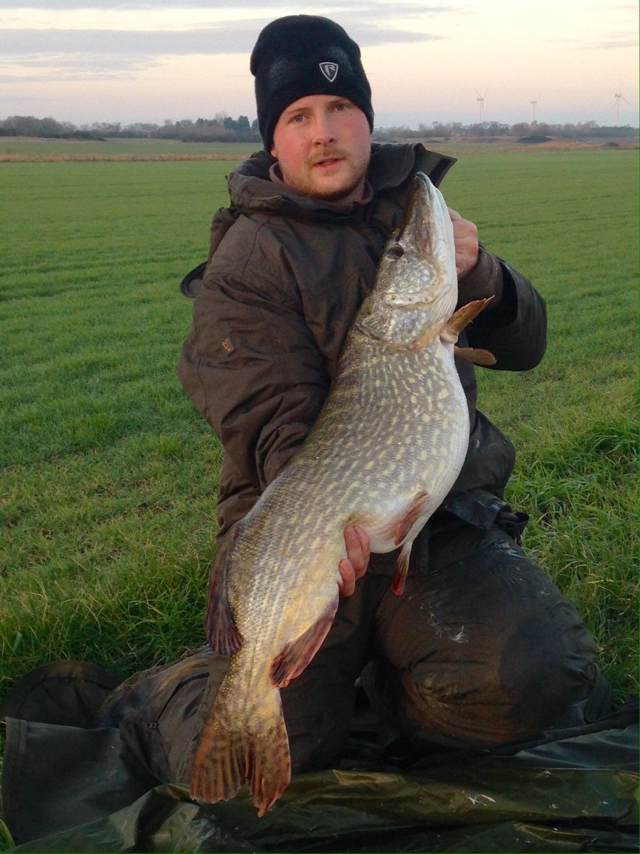 ryangibson1987's tweet photo. 26lb 2oz of Fen Drain pike. Part of a brace of 20's from this morning using the ever reliable @FoxInt Rage gear!! https://t.co/V6vf9RvGTV