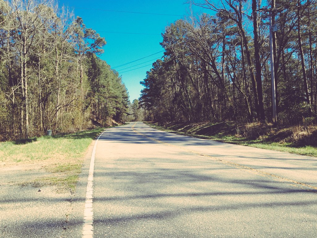 Gamecock_Matt97's tweet photo. See ya in 12 days, @Palmetto200.
Team @F3LexSC #TheHerd
#SandyRun #Leg6 https://t.co/qAB2V6Qami