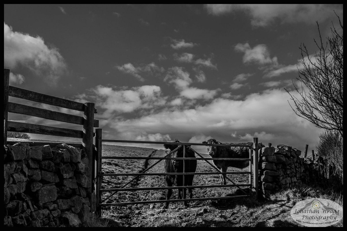 J.Wragg-Photography tweet media