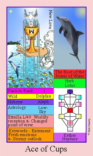 KuftyTarot tweet picture