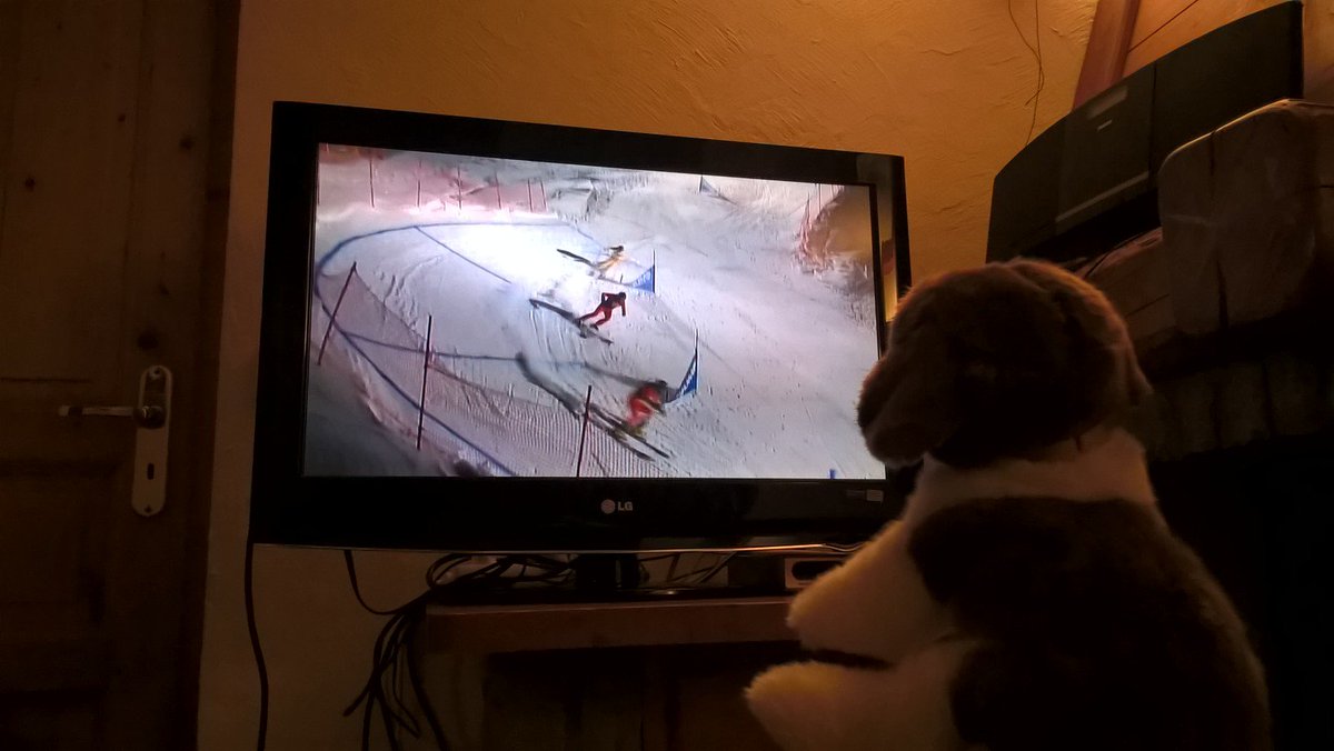 BecDimDiff's tweet photo. @AlpineActionski Indeed Albert's loving The Jump tonight! #AlbertAction https://t.co/7p3UQWEEF7
