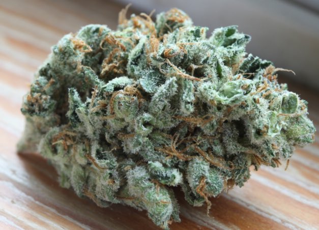 pics_bud's tweet photo. Triple diesel sativa https://t.co/MrQ5YrPtwb