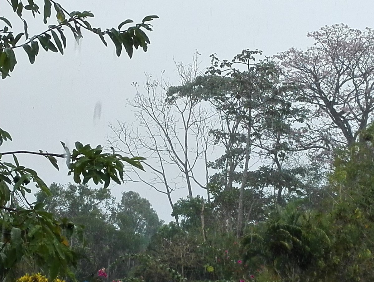 Alexander Alberto tweet media