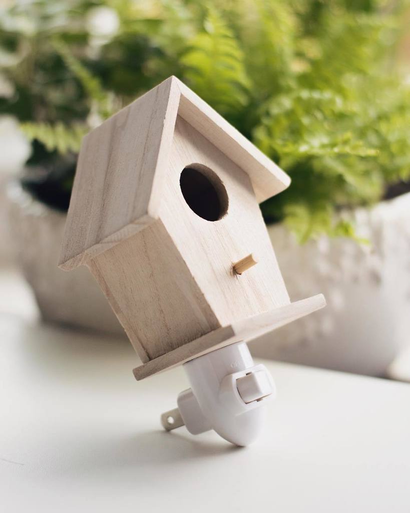 lightingbysara's tweet photo. New mini birdhouse night lights are now available in the shop!

https://t.co/uT4rOoYWbA

#… https://t.co/CsNeLpcUXn https://t.co/n3PuqHyefX