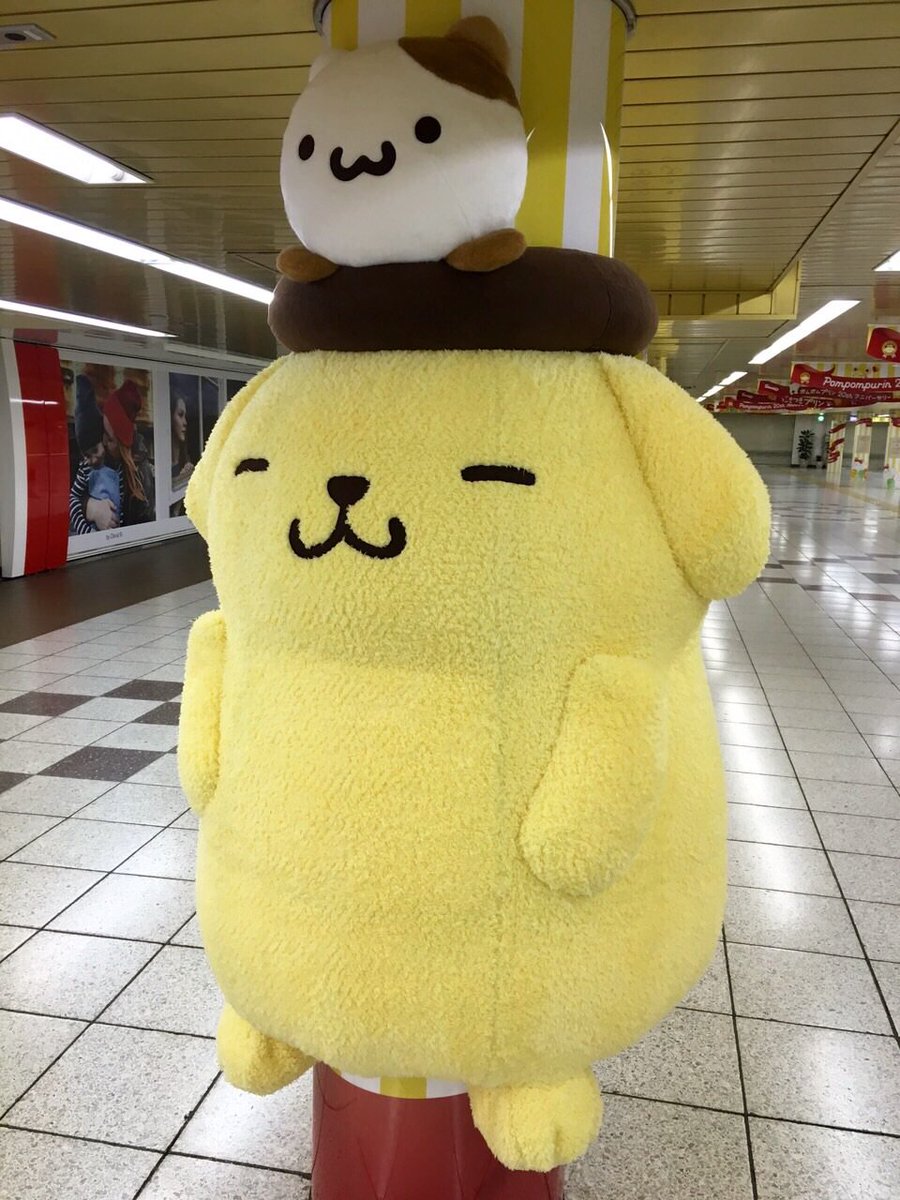 purin_sanrio tweet picture