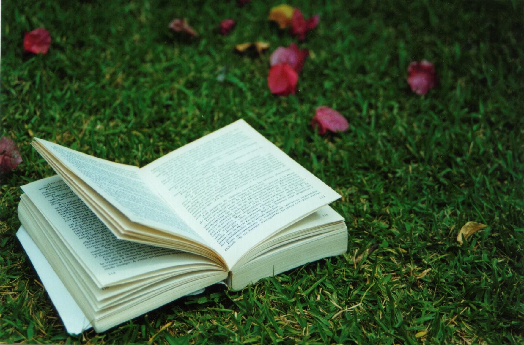 Книга на траве