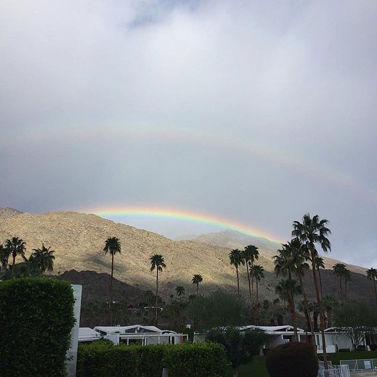 smallhealthy's tweet photo. modernism_week Did anyone else catch the double rainbow over #PalmSprings this morning? 🌈🌈 📷: @justmodern https://t.co/MgSVtthSLo