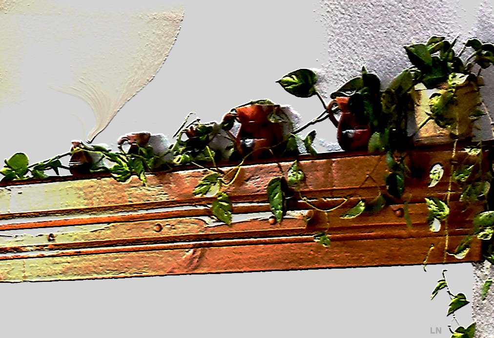 libranika's tweet image. 