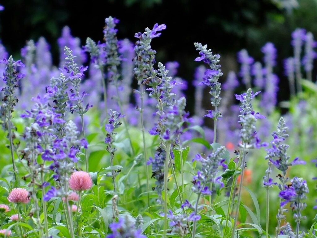 <a href="/nabilhasan48/">حسن العراقي</a> <a href="/armeniangirl4/">Nancy Movsisyan</a> @loving_lana <a href="/5Dream555/">Dream</a> <a href="/VICTORJSOSAV/">Víctor Sosa</a> <a href="/AslanovElena/">Elena Aslanov(Rahel)</a> @ARES3O3 @NEXT590 <a href="/GERA_8O/">Gerardo Martin Terue</a>