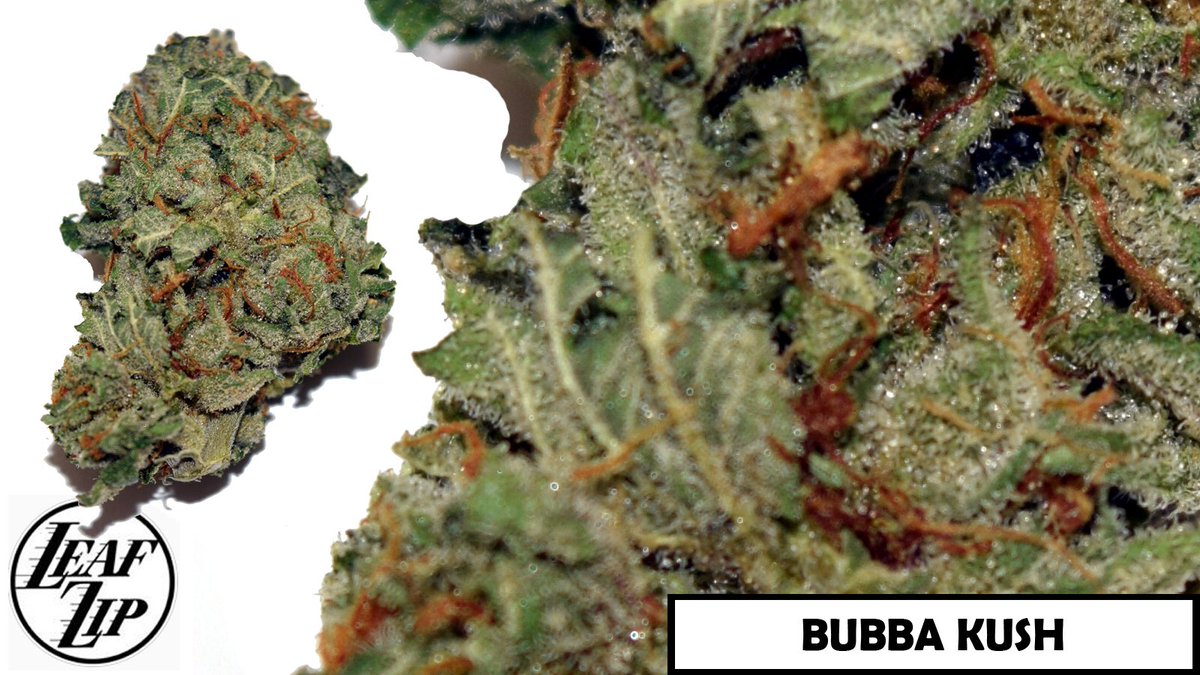 Leafzip's tweet photo. ORDER TODAY! 714-465-9482 #LeafZIP #30MinOrLess #weed #marijuana #OrangeCounty #stoner #highlife #highsociety #bud https://t.co/IHVz3SdY8w