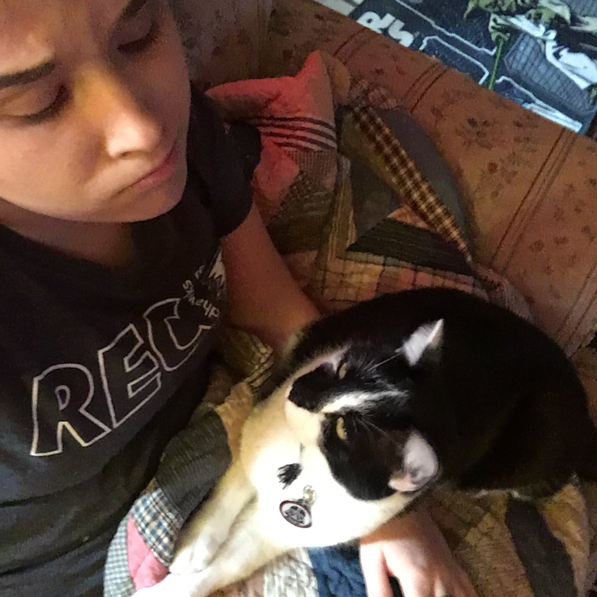 nabooCATT's tweet photo. How was I supposed to know that she couldn't pet me if I laid on her hand?? #catproblems https://t.co/8tbhaTbtoi
