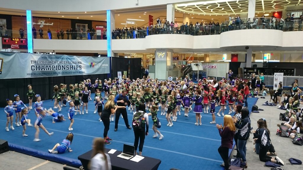 Alberta Cheerleading tweet media