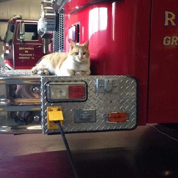 AFireStation's tweet image. Found this cool photo, not mine Glad they didn't take this truck I am comfortable. #outsidefire