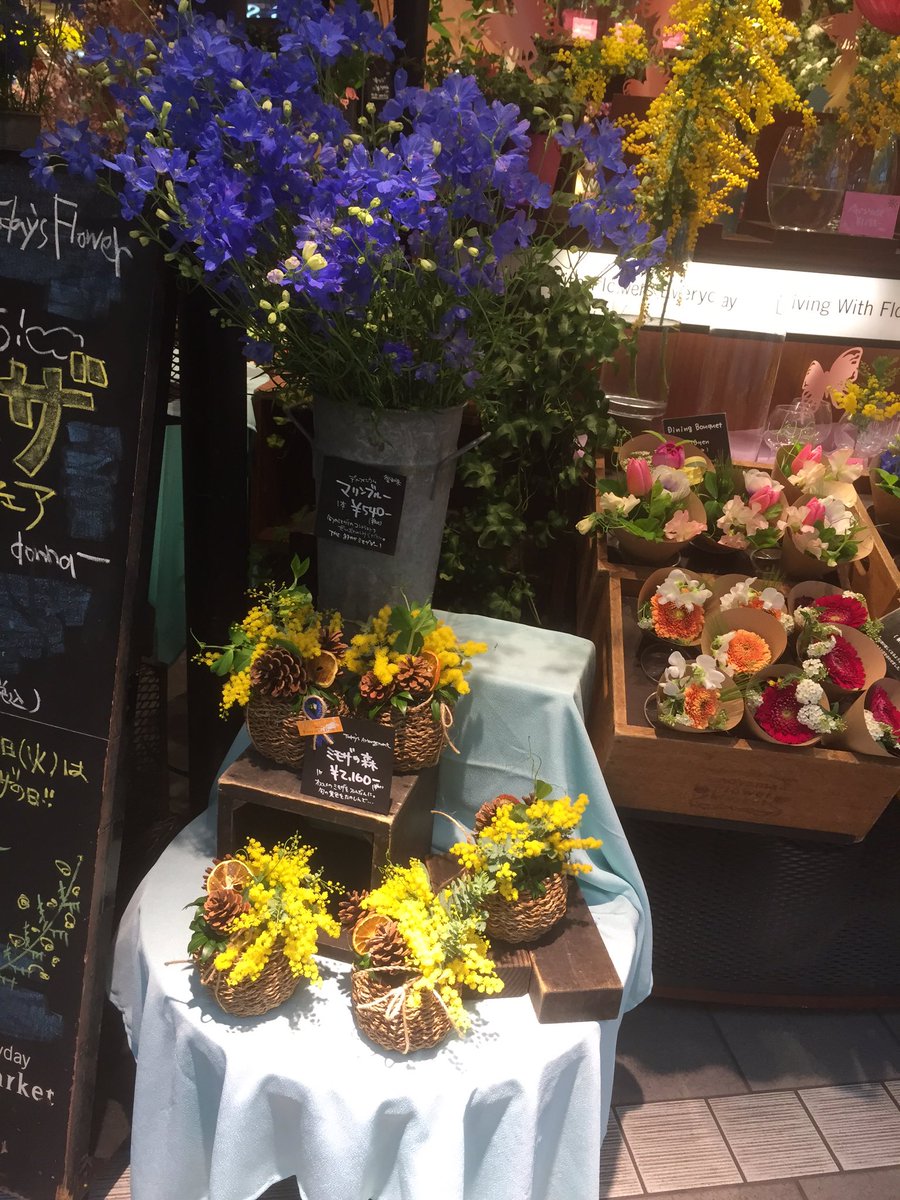 八木倫明 やぎりん 川越駅の花屋さんは ミモザ フェア O 黄色のかわいい花 T Co Hu68ri5wa7