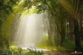 lilibin76's tweet photo. HI TWITTER FRIEND!...I WISH U A EXCELLENT WEEK!....GOD BLESS YOU!....AND DON'T FORGET: " SMILE AND BE HAPPY " https://t.co/ruZNNLmUwS