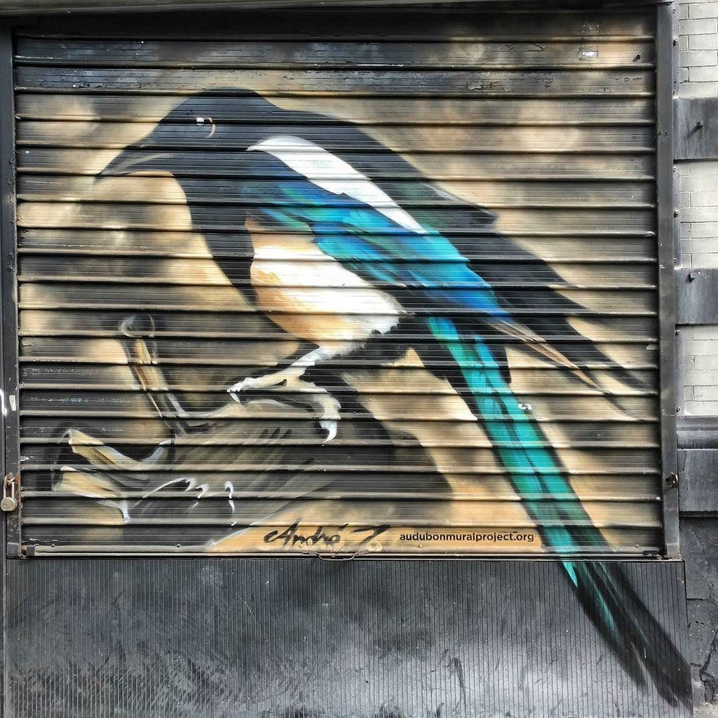 StArtEverywhere's tweet photo. Part ii of ii of gate mural for #audobonmuralproject in #westharlem
Artist looks like @andre_trenier -
-
#streetsc… https://t.co/Lg64f2hyCf