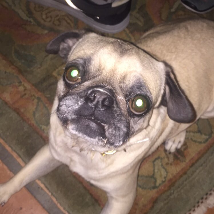 jonahclau's tweet photo. I'm in love with the coco https://t.co/nZy8ccnBO2