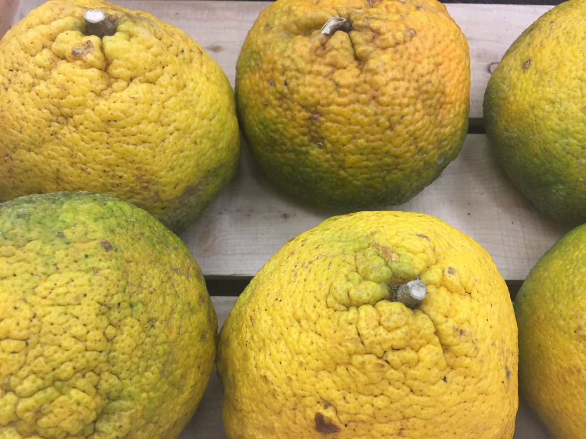 KitchenWoes's tweet photo. What am I? @JEGARDSBBQ https://t.co/PxCPhr9Cig