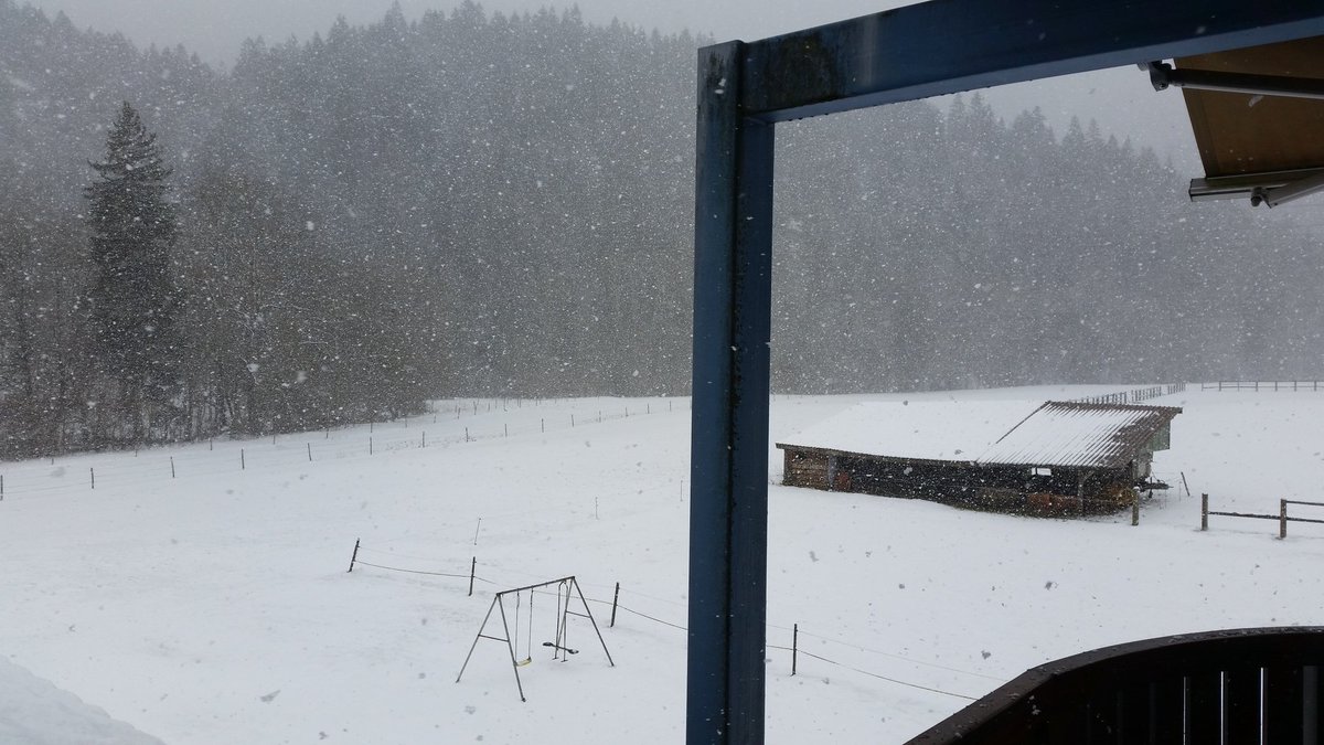 Loch_blackoss38's tweet photo. La Suisse c'est quoi ? C'est ça.. photo du jour. #TeamManchot https://t.co/ok3t1pQ5Gj