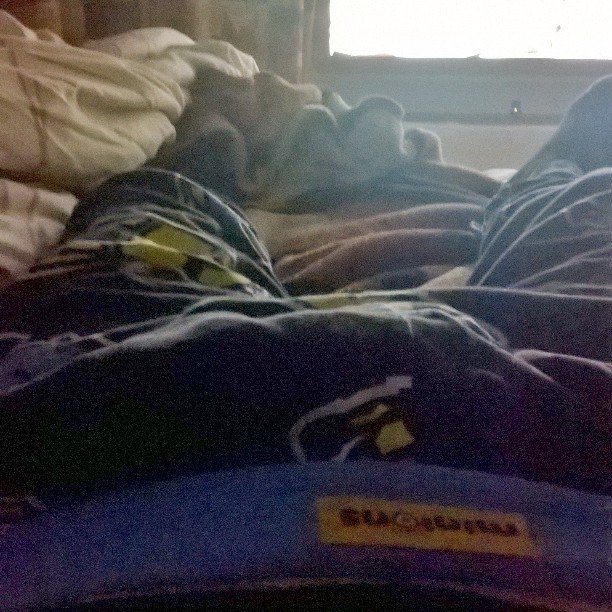 papayaminions's tweet photo. Cant sleep..... I need my bed and my soft minion pyjamas 😞 #cantsleep #needmybed #need #mypyjamas #minions #soft #f… https://t.co/szFnR2pVE0
