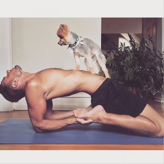Shape Magazine on X: These ridiculously hot guys (and pups) doing