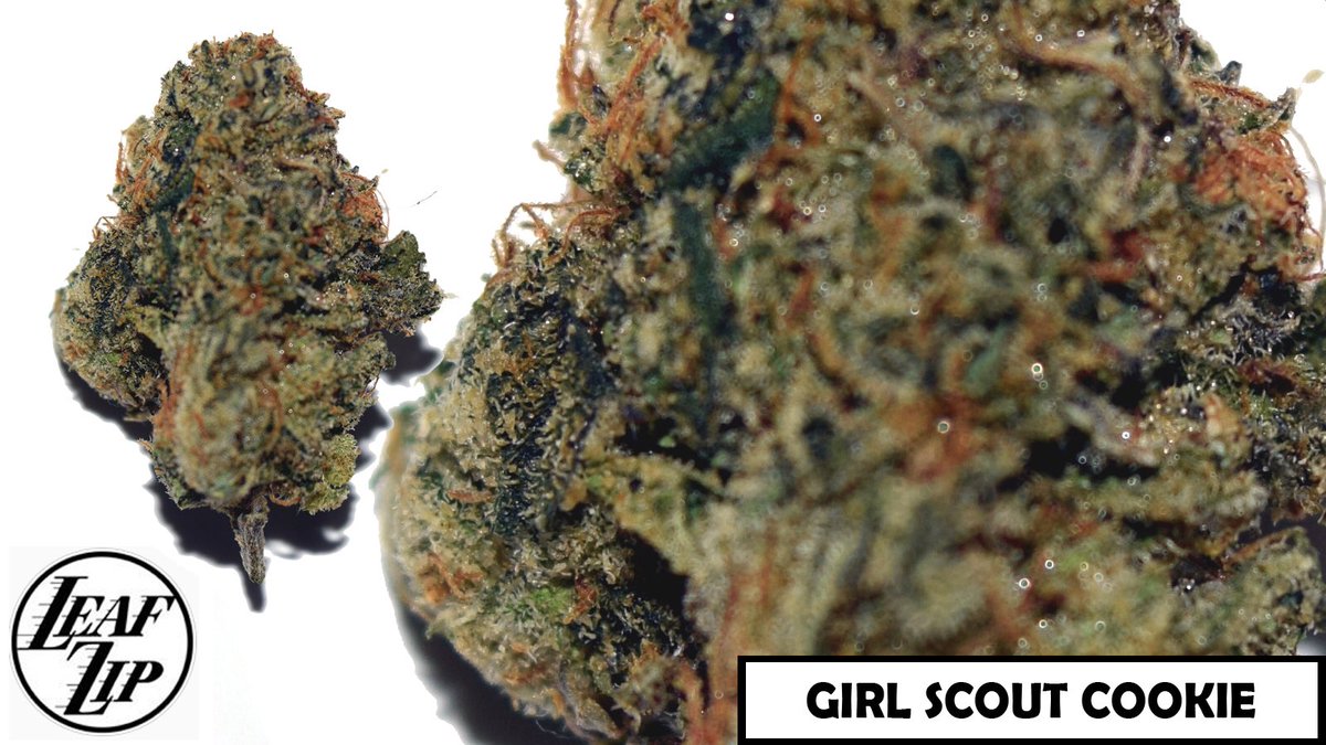 Leafzip's tweet photo. ORDER TODAY! 714-465-9482 #LeafZIP #30MinOrLess #weed #marijuana #OrangeCounty #stoner #highlife #highsociety #bud https://t.co/IGKl72caN1